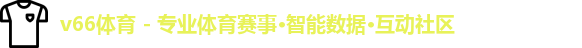 v66体育